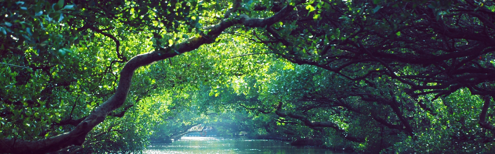 habitat-press-updates